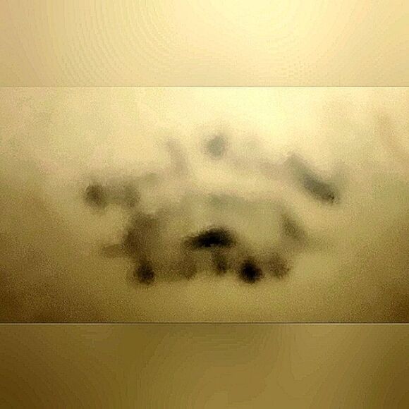 Sugar Bowl Limoges France Hand Painted Signed With/Lid - Picture 15 of 15